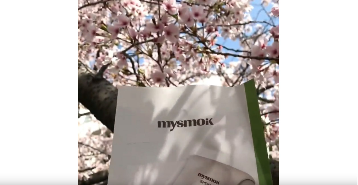 quando Yun Xi calor não burm dispositivo encontra sakura